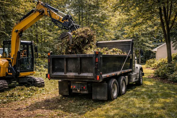 image from Tree Removal Austin in Austin, TX image from Tree Removal Austin in Austin, TX